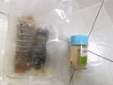 榕毅鮮生【青龍蝦尾】2只裝青龍蝦尾鮮活冷凍新鮮大花龍蝦尾海鮮200克 曬單實(shí)拍圖
