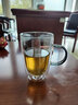 karphome卡普家居玻璃水杯雙層耐熱泡茶杯花茶杯家用把杯馬克杯喝茶杯子 煙灰色單只 曬單實拍圖