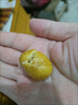 卉雙新鮮生板栗5斤當(dāng)季大板栗生栗東北錐栗菜毛栗子鮮油栗子農(nóng)家 板栗 帶箱1斤中 曬單實拍圖