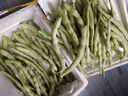 辰實東北白豆角【順豐】新鮮白蕓豆角 油豆角 云豆四季豆白架豆蔬菜 3斤 曬單實拍圖