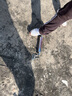 G&G測(cè)力計(jì)彈簧拉力計(jì)LTZ-5/10/20/30/50/100雙杰指針式管型拉力測(cè)試 LTZ-50(量程500N/50kg) 曬單實(shí)拍圖