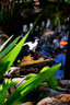 水族箱魚(yú)池魚(yú)缸水草箱布景造景陶瓷竹排漁翁漁船裝飾盆景工藝擺件人物假山珊瑚貝殼仿真植物水草 4寸單鶴 曬單實(shí)拍圖