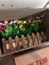 花藝赫 仿真花套裝小雛菊假花塑料花桌面墻角遮擋綠植盆栽擺件柵欄花工程隔斷擺放花藝 30厘米碳欄+尤加利混搭跳蘭菊套裝 曬單實(shí)拍圖