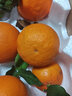 京覓四川愛(ài)媛38號果凍橙子水果凈重8斤單果200g+生鮮源頭直發(fā)包郵 曬單實(shí)拍圖