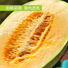【順豐空運】新疆哈密瓜產(chǎn)地直發(fā)天蜜九號甜瓜新鮮水果整箱批發(fā) 黃皮至愛哈密瓜2頭（凈重6-7斤） 曬單實拍圖