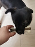 宜特（EETOYS）狗狗玩具仿真造型磨牙能吃狗狗零食潔齒釋放壓力防拆家寵物玩具 【恒牙護理】中號彎骨 曬單實(shí)拍圖