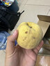 青尊園蒙陰黃桃黃金桃山東蜜桃水果禮盒新鮮桃子脆甜黃肉大黃桃整箱 3斤 曬單實(shí)拍圖
