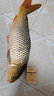 力丸路滑線(xiàn)組配件太空豆套裝全套精品磯竿遠投釣魚(yú)主線(xiàn)路亞滑漂釣組 路滑套裝小號（1.5-3號線(xiàn)）5套裝 曬單實(shí)拍圖