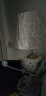 苏柏雪（suboxue） 陶瓷台灯卧室床头灯简约现代创意温馨暖光浪漫家用装饰床头柜灯 型号：127金 按钮开关（暖光） 实拍图