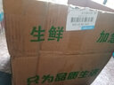 鳶語 山東綠甘藍 綠包菜球 青甘藍 輕食沙拉 產地直發(fā) 新鮮蔬菜 5斤裝 曬單實拍圖
