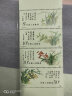 【邮天下】T字系列邮票 之五 T129 中国兰花邮票 实拍图