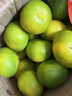 迭果安江雪峰冰糖柚湖南懷化洪江小藥柚子高山金蘭安福脆香甜苦柚子 5斤大果 曬單實(shí)拍圖