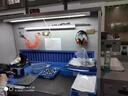 闊愛(ài)打磨除塵工作臺除塵臺拋光移動(dòng)式吸塵器集塵柜工業(yè)粉塵收集柜設備 800*1200*1600 脈沖除灰 曬單實(shí)拍圖