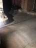 汽車(chē)led流氓倒車(chē)燈泡 超高亮尾燈改裝 第七代 高亮1156 P21W 2只裝 曬單實(shí)拍圖