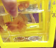 月光水母魚缸造景水晶質(zhì)感玻璃砂通透石頭底砂魚缸水族箱造景裝飾 糖果藍(lán)(3-5cm)顏色形狀隨機(jī) 曬單實(shí)拍圖