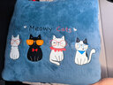 艾薇汽車(chē)抱枕被子兩用辦公室抱枕蓋毯二合一午睡毯靠枕頭被藍格大眼怪 曬單實(shí)拍圖
