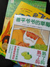 學(xué)前閱讀經(jīng)典圖畫書 米拉·洛貝精選童話系列平裝睡前繪本11冊(cè) 曬單實(shí)拍圖