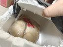 鮮檔臘鵝咸鵝皖西大白鵝安徽六安土特產(chǎn)農(nóng)家手工腌制老鵝真空包裝發(fā)貨 整只風干老鵝6斤左右 曬單實拍圖