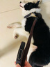 AYOUA 狗鏈牽引繩項(xiàng)圈 中大型犬狗繩子牛皮金毛狗鏈拉布拉多馬犬德牧 深棕色長(zhǎng)1.6米 牽引繩加中型犬項(xiàng)圈套裝 曬單實(shí)拍圖