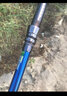 狼王紡車(chē)輪漁輪碳霸防海水斜口海釣魚(yú)輪拋竿路亞微物碳素海桿輪釣魚(yú)輪 黑+藍 碳霸海水版5000系列 曬單實(shí)拍圖