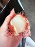 優(yōu)味集【JD順豐速發(fā)】越南紅毛丹進(jìn)口水果毛荔枝毛丹果紅牡丹孕婦果生鮮 2500g凈重裝（80%選擇-超劃算） 曬單實(shí)拍圖