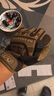 MECHANIX WEAR 超級技師戶(hù)外男M-pact鎧甲耐磨防護戰術(shù)軍迷騎行工作可觸屏手套 狼棕色（可觸屏） M 曬單實(shí)拍圖
