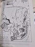 擁抱戰敗 (美)約翰·W.道爾 著(zhù) 軍事讀物 三聯(lián)書(shū)店 曬單實(shí)拍圖
