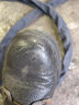 班康 安全鞋勞保鞋男工作鞋防砸鋼包頭防刺穿牛皮耐磨透氣防水耐油防滑輕便舒適工作鞋 42 曬單實(shí)拍圖