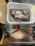 久巖淺水漂短漂醒目高靈敏加粗尾輕口鯽鯉魚納米浮漂春釣短小魚漂 PF10淺水輕猾口小物(鉛0.9-1.5g) 三支一套（更劃算，可自選型號） 曬單實(shí)拍圖