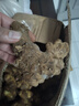 四川生姜老姜批發(fā)大黃姜現(xiàn)挖老黃姜月子姜土姜母姜老黃姜新鮮蔬菜 買5送5[凈重]超優(yōu)惠 9斤 現(xiàn)挖老姜[精選裝]推薦 曬單實拍圖