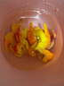 彤蓓佳恐龍蛋玩具可孵化泡水變大盲盒大號恐龍變形創(chuàng)意仿真動物 孵化蛋六粒(雞蛋大小) 曬單實拍圖