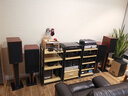 許英諤 音響8英寸HiFi高保真專業(yè)兩分頻發(fā)燒級2.0聲道立體聲家用客廳電視無源木質(zhì)書架音箱8201 褐色 曬單實拍圖