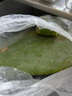 譽(yù)滿園多肉植物墨西哥米邦塔可食用仙人掌外敷煮水藥用老片多肉仙人掌 完整片 15年效果更好3斤裝） 不含盆 曬單實(shí)拍圖