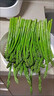 蒔薈果蔬（順豐現摘）福建綠蘆筍農家現挖青筍龍須菜嫩蘆筍去白根新鮮蔬菜 3斤 中筍（直徑7-10mm） 曬單實(shí)拍圖