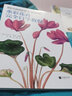 世界繪畫經(jīng)典教程：水彩花卉完全自學(xué)教程（美國植物插畫藝術(shù)家傾情傳授，擁有“一百萬年也達不到的水彩技法”） 曬單實拍圖