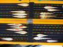 黃金眼競(jìng)技鯽魚(yú)漂黑坑鯉魚(yú)漂醒目漂尾釣魚(yú)漁具用品 Q6細(xì)尾 5號(hào)一支 曬單實(shí)拍圖