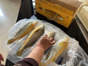 帶魚(yú)先生舟山嵊泗大黃魚(yú)450g-500g/條 海捕黃花魚(yú)鮮活速凍 禮盒裝4條 曬單實(shí)拍圖