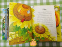 【官方正版】一年級閱讀繪本課外書(shū)全套20冊 兒童繪本3-6歲幼兒園繪本5-8歲冰波王一梅系列童話(huà)故事書(shū)4到7注音版少兒讀物 大自然幻想微童話(huà)+大自然溫馨微童話(huà) 共20冊 曬單實(shí)拍圖