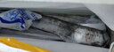 鮮源瀾灣東海帶魚(yú) 鮮源瀾灣新鮮大帶魚(yú)刀魚(yú)整條禮盒裝 精選禮盒裝5斤300-450g/條 曬單實(shí)拍圖