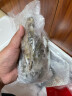 樂(lè )鱘匯生鮮 龍蝦 大龍蝦 青龍蝦海鮮水產(chǎn)鮮活冷凍海鮮大蝦年貨海鮮禮盒 1.8斤青龍蝦+8-10頭黑虎蝦900g 曬單實(shí)拍圖