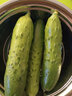 密園小農(nóng) 密云本地7寸黃瓜 新鮮蔬菜 500g 曬單實拍圖