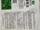 中科茂華水果種子綠香妃甜瓜種子冰糖綠寶石超甜南韓綠寶綠翠玉綠香帥酥脆清香綠皮綠肉香瓜種籽 綠翠玉50粒/袋【試種裝—大果型】 曬單實拍圖
