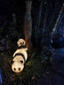 半語太陽能兔子燈戶外發(fā)光兔子防水仿生動(dòng)物燈公園造型燈庭院裝飾燈 熊貓 A款太陽能-暖光【一只】 曬單實(shí)拍圖