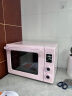 长帝（changdi）家用风炉电烤箱 42升大容量 30项智能菜单 2kw大功率 多功能风炉平炉一体 猫小易pro 冰莓粉 实拍图