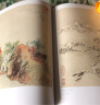 经典全集《石涛画集》8开中国画临摹画册书籍技法教材花卉竹山水书画临本写意花鸟名作赏析鉴赏杨建飞主编 实拍图