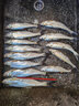 開沃精工漁具蘭亭極翹嘴版釣竿 臺釣竿10米甩大鞭草魚竿休閑釣魚竿 9米 曬單實拍圖