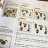 奇思妙想樹(shù)葉畫(huà)  一學(xué)就會(huì )的創(chuàng  )意植物手工（優(yōu)樞學(xué)堂出品） 曬單實(shí)拍圖