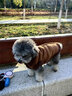 鉑吶苓狗狗衣服貓咪衣服小狗小貓寵物小型犬泰迪比熊博美冬季保暖加厚 狗狗衣服【咖色馬甲】 L 曬單實(shí)拍圖