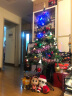 当康 圣诞树套餐圣诞装饰品 节日圣诞节礼品彩灯 1.8米豪华套餐(450枝头+162配件) 实拍图