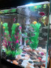 異景園魚(yú)缸水族箱裝飾仿真水草水族造景套餐假水草裝飾塑料高款大水草綠 小粉珊瑚枝 曬單實(shí)拍圖